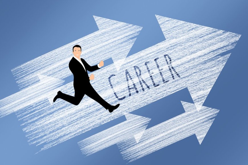 Top Career Options to Look Out for in 2024